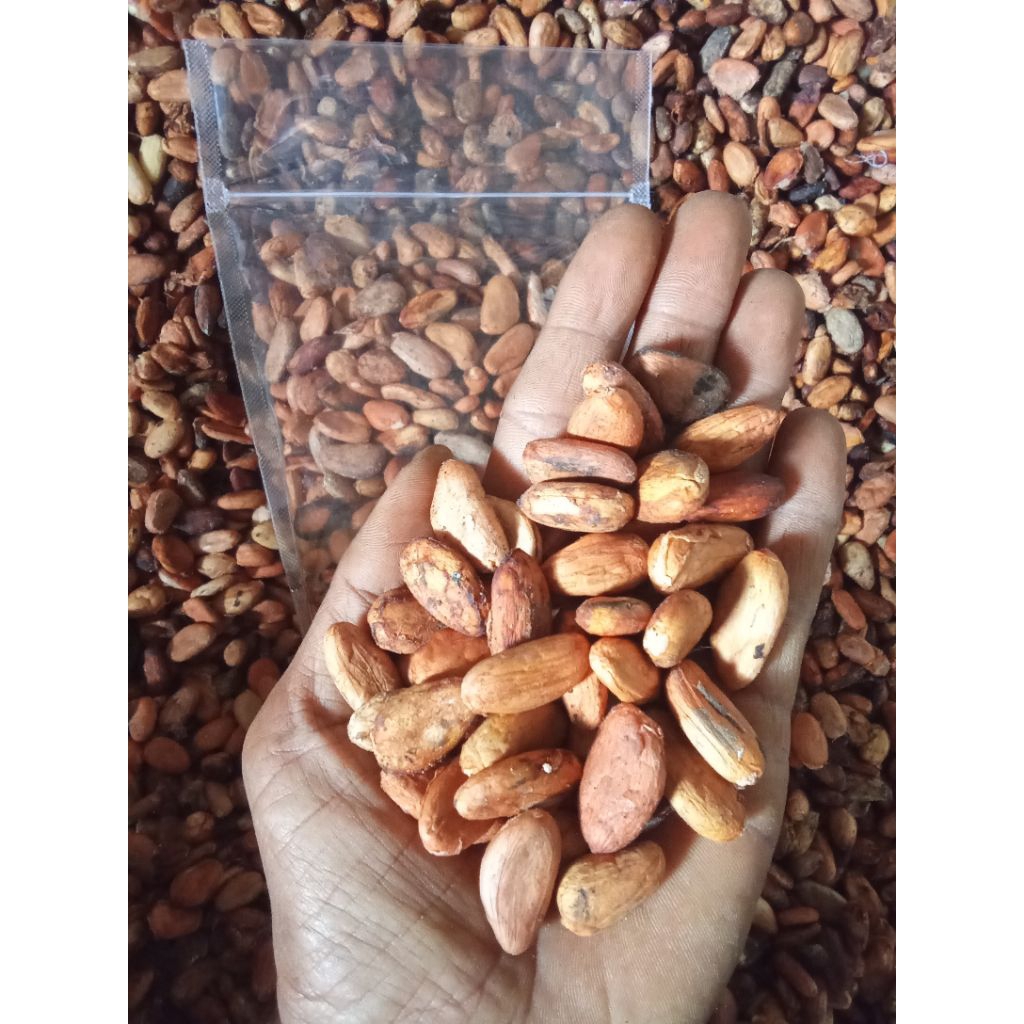 

Biji kakao/Cacao/Cokelat mentah kering kualitas super 100gram