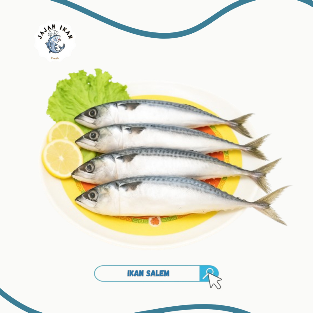 

Ikan salem /Ikan salem beku 1kg instan