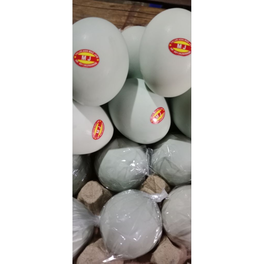 

TELUR ASIN BEBEK ASLI BERKUALITAS 4 butir