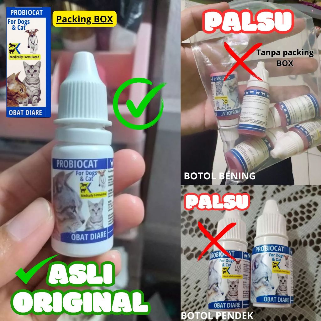 Obat Diare Kucing Obat Berak Darah Kucing PROBIOCAT FEFARM