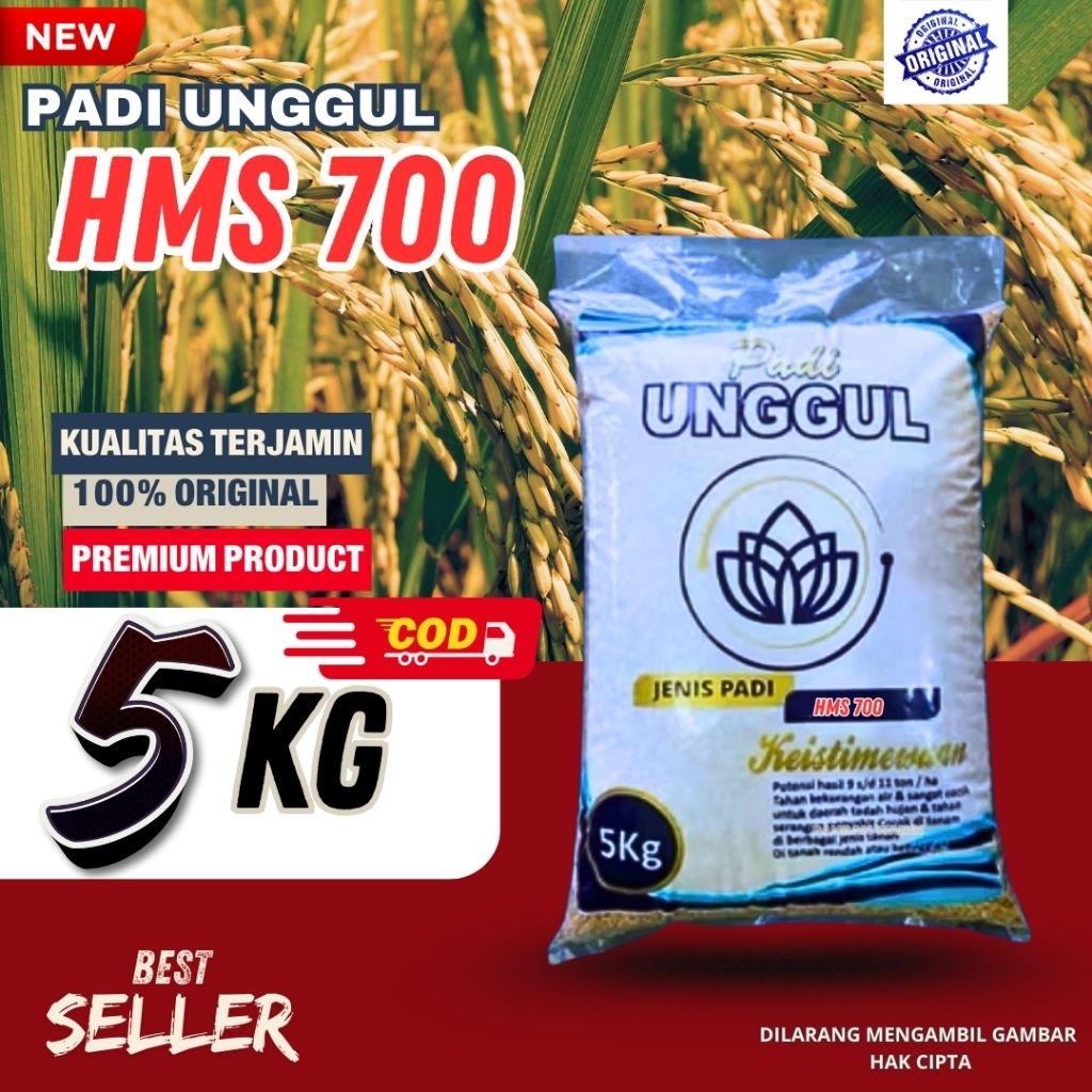 PADI UNGGUL HMS 700 BIBIT BERKUALITAS TINGGI KEMASAN 5KG