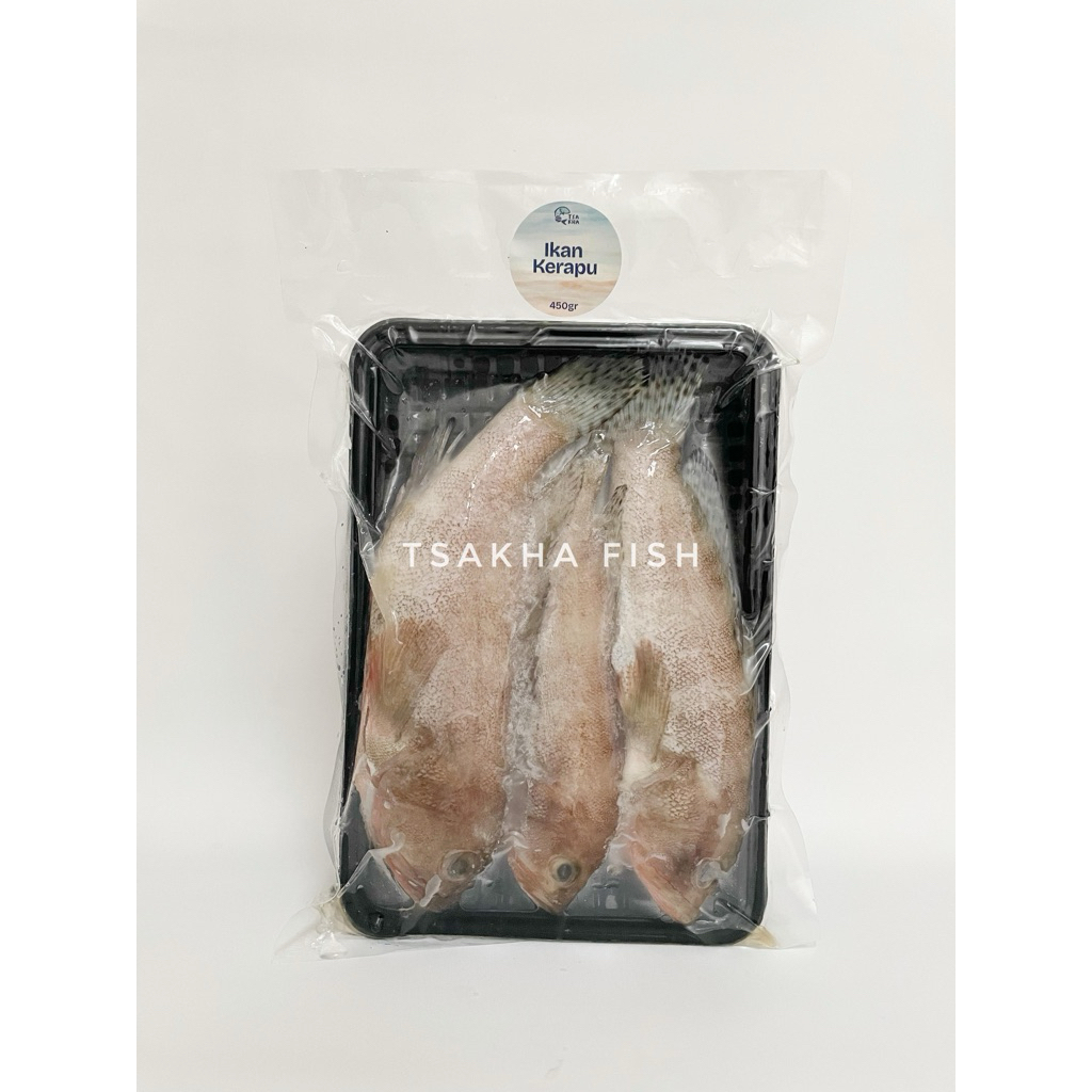 

Tsakha Fish - (500 gr) Ikan Kerapu whole