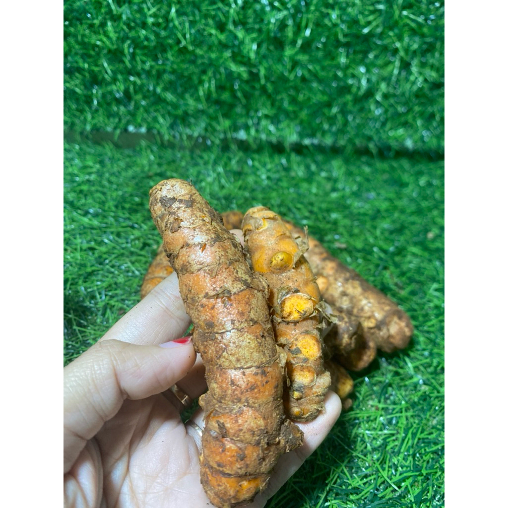 

Kunyit super fresh rempah asli wonogiri