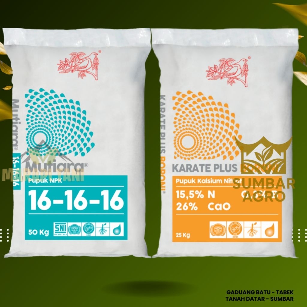 PAKET HEMAT Pupuk Anggur - Lengkeng - Bunga - Durian - Mangga - Sayuran // NPK MUTIARA + KARATE BORO