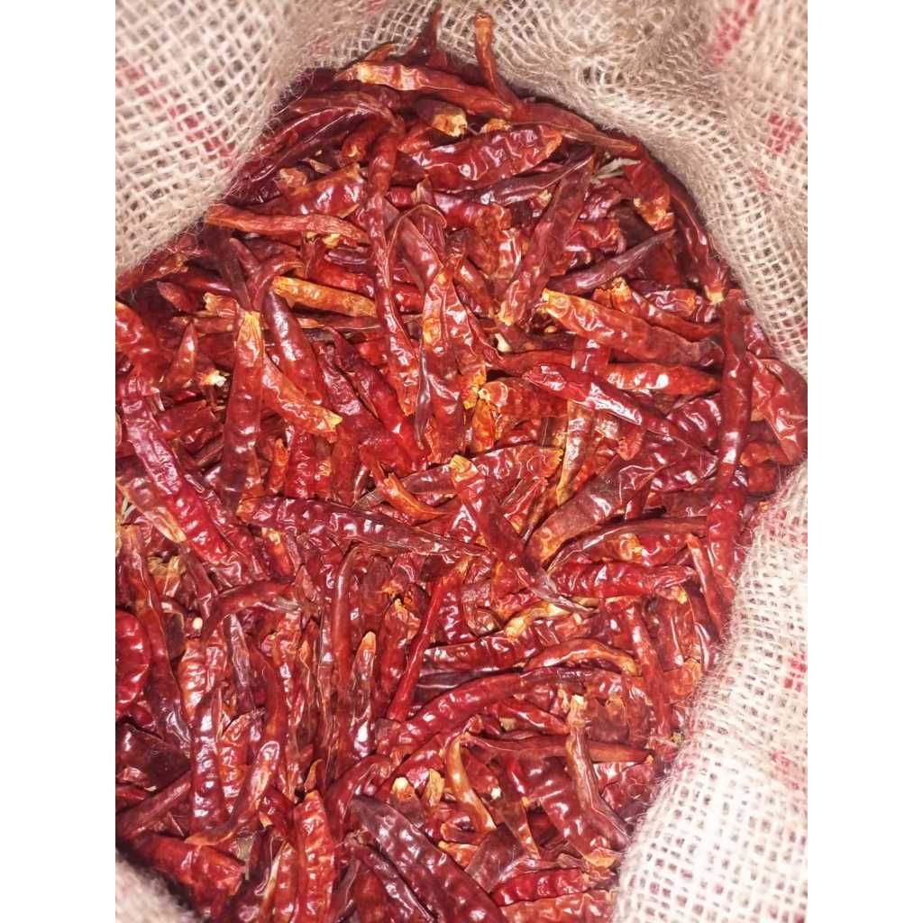 

CABE KERING 1 KG UNTUK CHILI OIL TEJA MERAH RAWIT SETAN MURAH TANPA TANGKAI