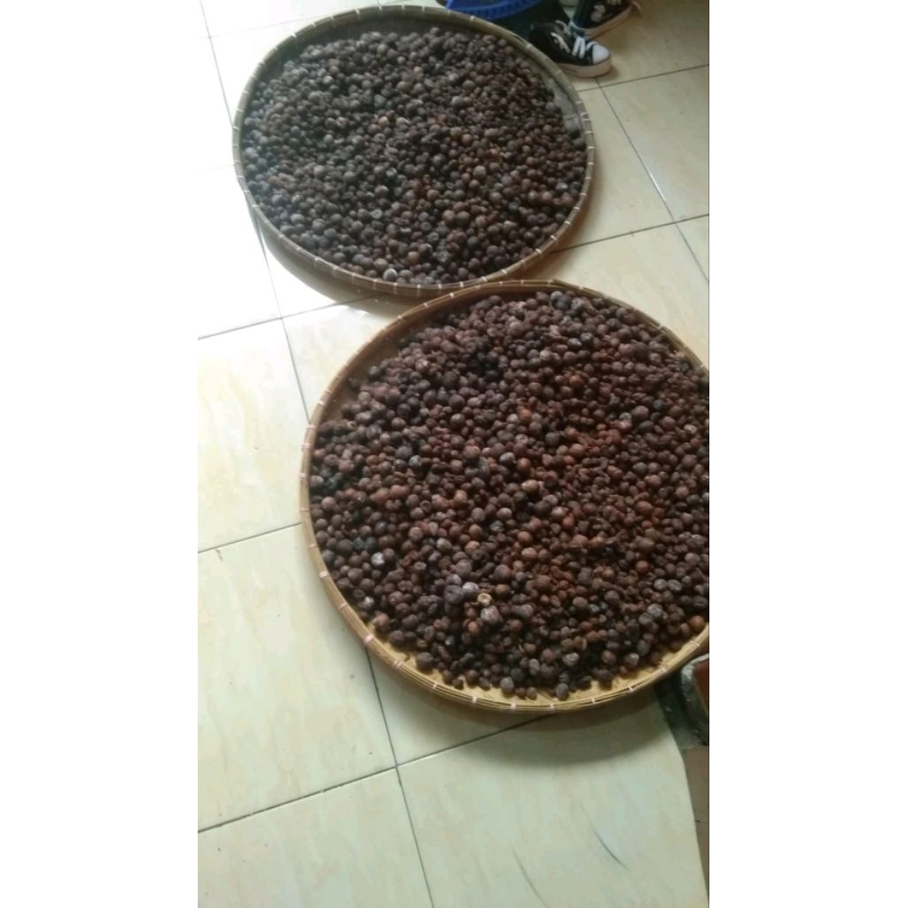 

1kg biji pala kering