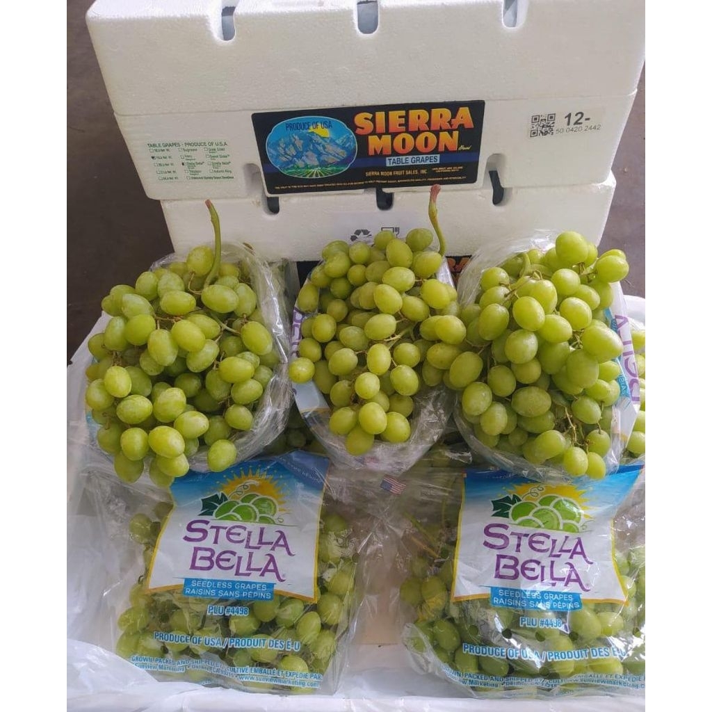 

anggur stella bella sierra moon/kg