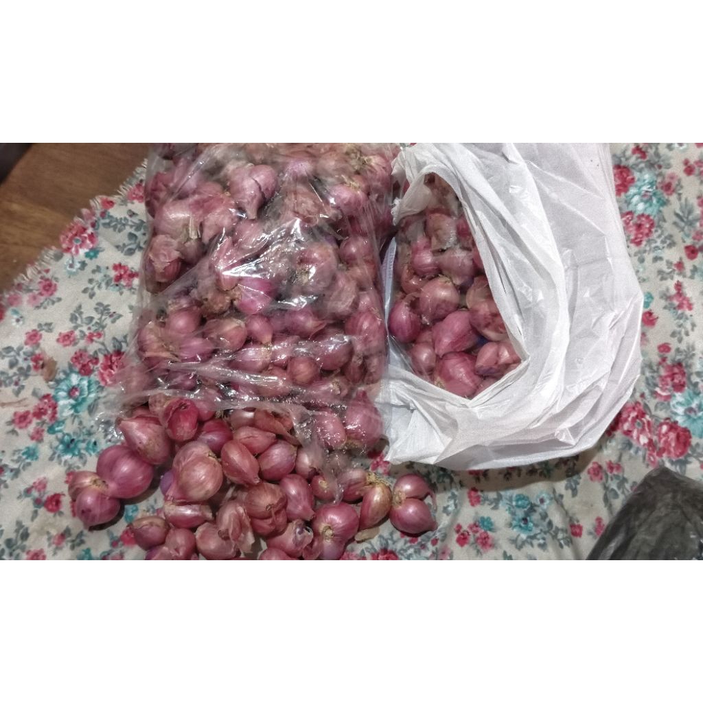 

Bawang merah 1kg 50.000