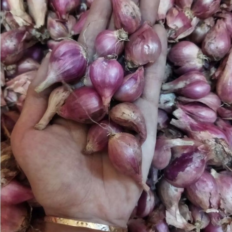 

Bawang Merah NGANJUK uk (CAMPUR)