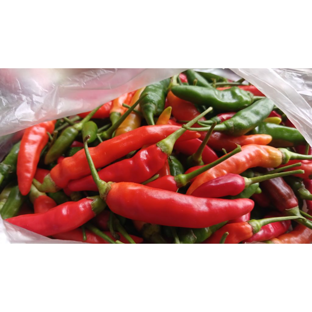 

Cabe Merah, Hijau, Rawit 500gr/1kg, Fresh from garden SEGAR PEDAS NAMPOL