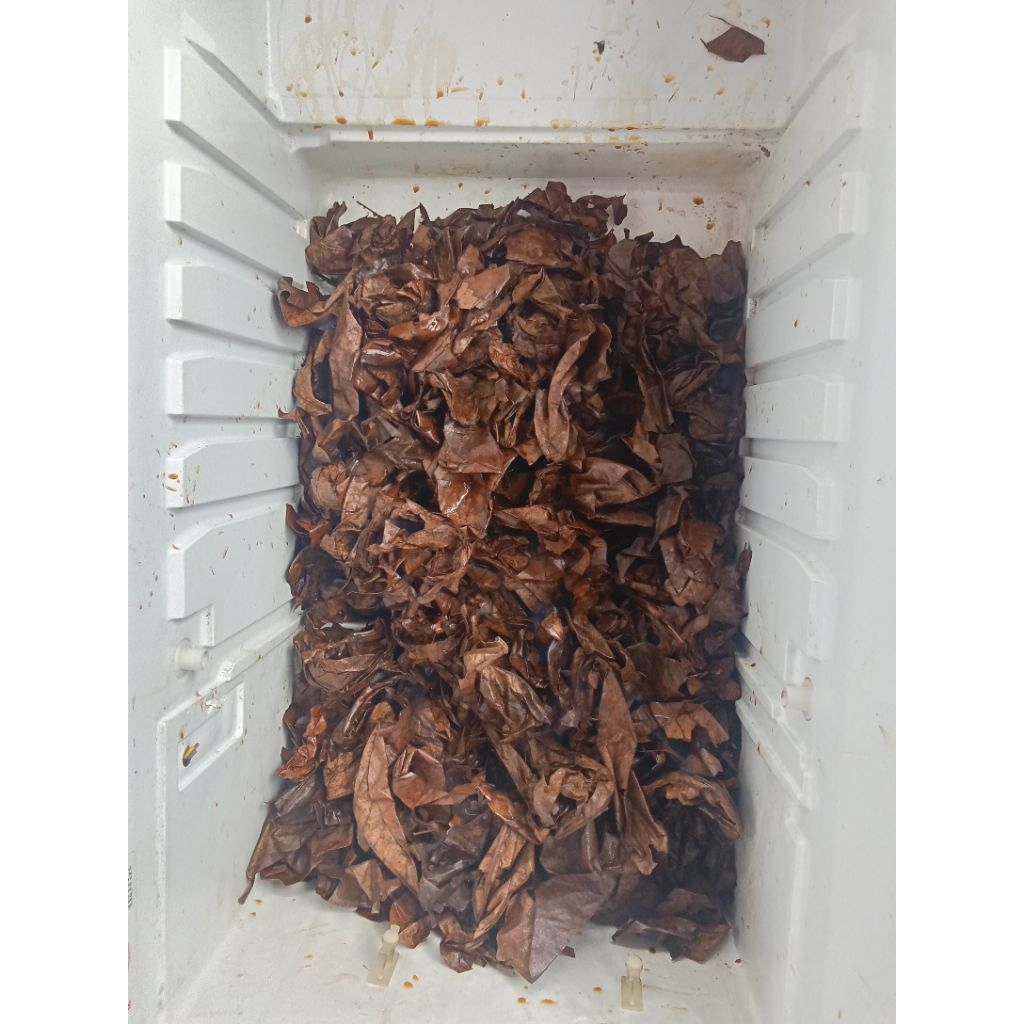 

menang live disini yak