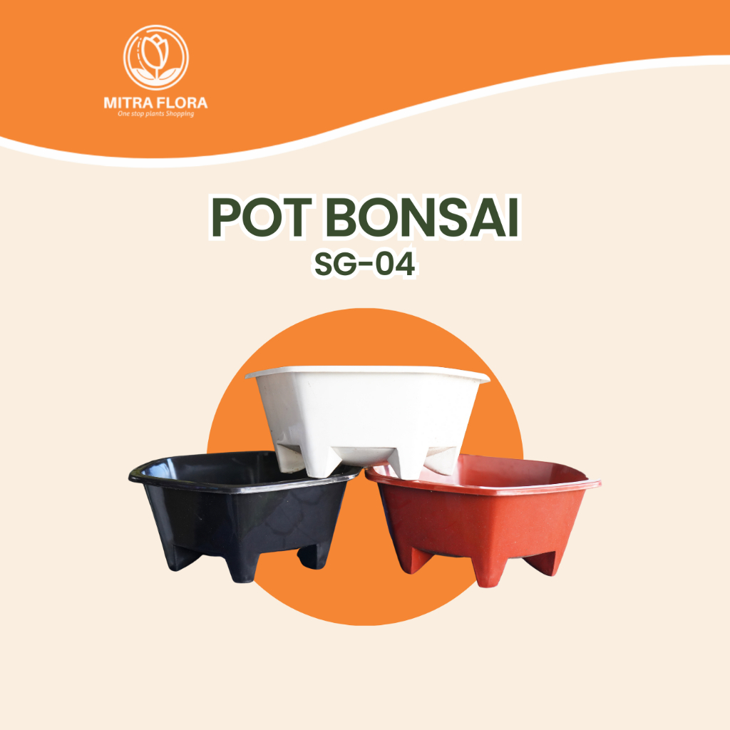 Pot Bonsai SG 04 Segi Enam Plastik Tebal Tanaman Hias Original Paket 10 Gratis 2