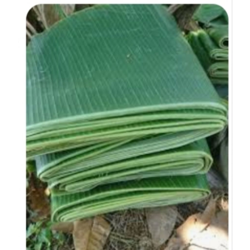 

Daun Pisang Segar Premium Pisang Klutuk Per ikat