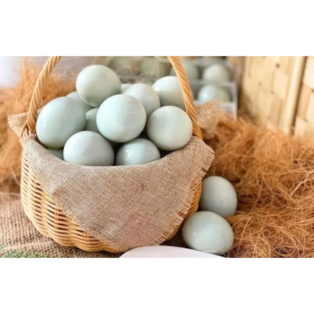 

Telur Bebek Per Butir