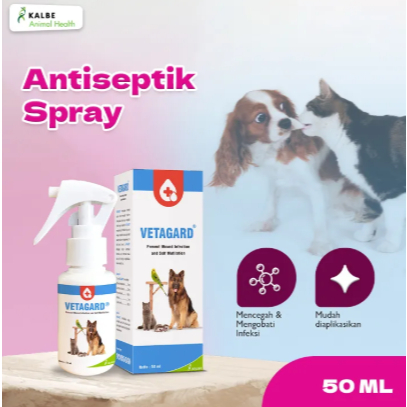 Antiseptik Spray
