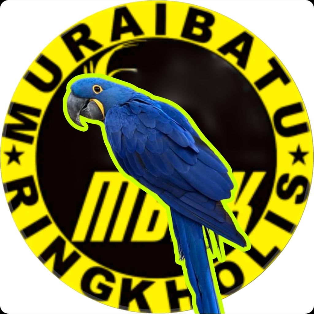 

telur burung 2 butir Macaw Hyacinth dijamin siap tetas