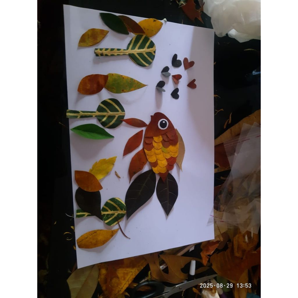 

kolase daun ikan yang belum ditempel (sudah dipotong tinggal nempel)