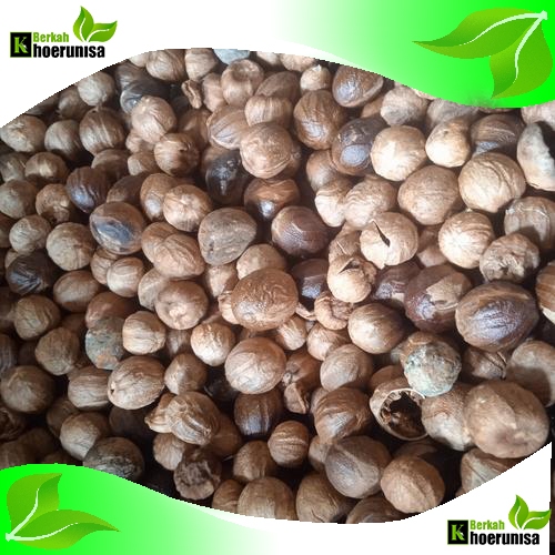 

Biji Pala kering 100 gram rempah dan herbal