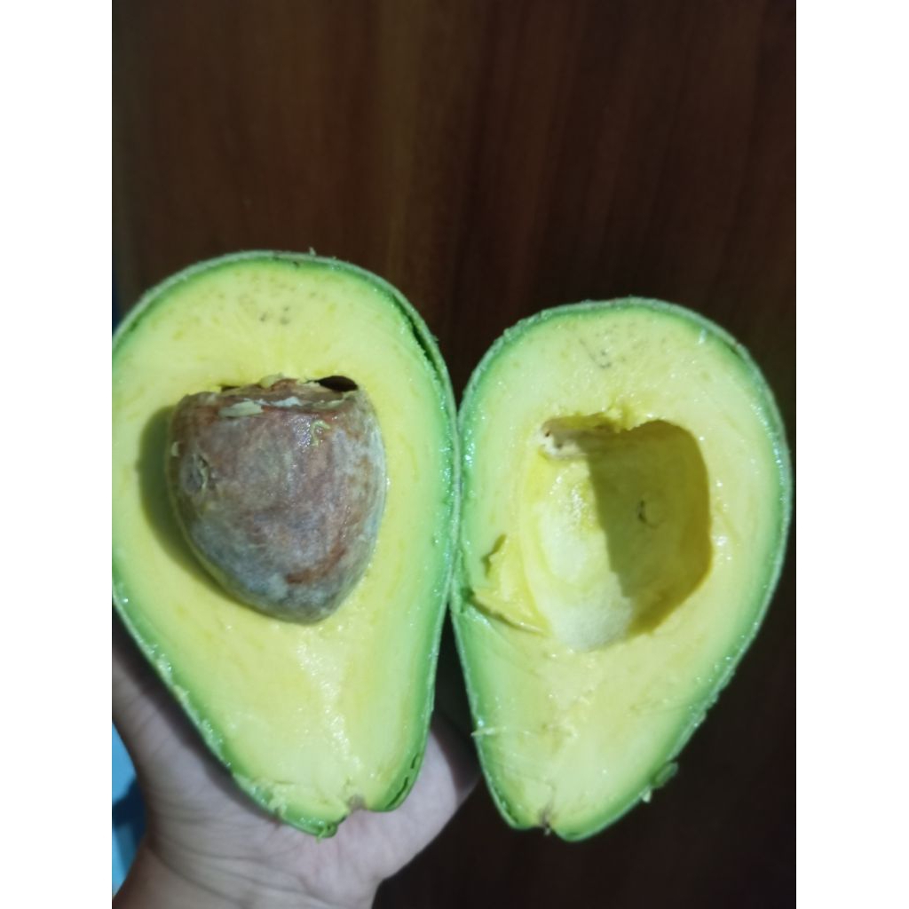 

Alpukat Mentega isi 2-5