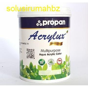 Cat Duco Waterbased 1kg PROPAN ACRYLUX AAP-950 Primer White