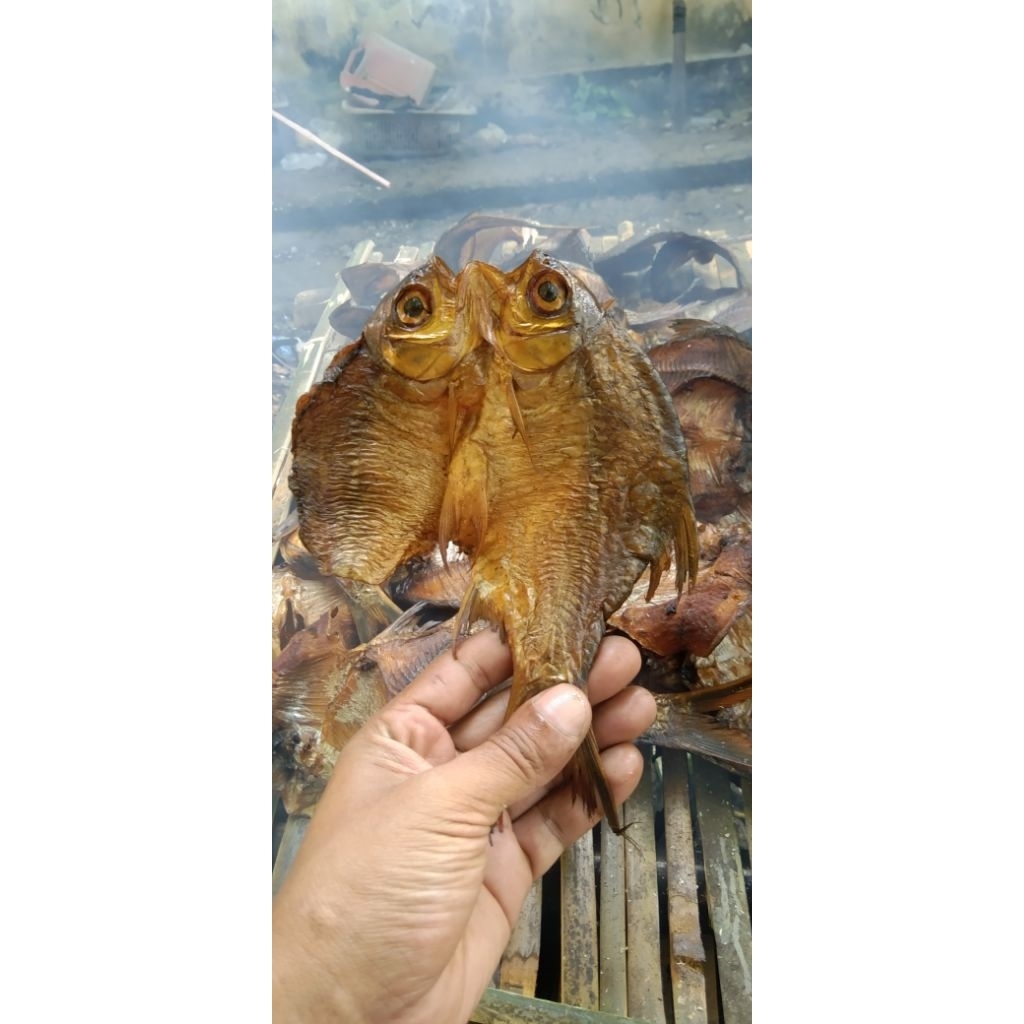 

ikan salai ikan asap ikan sungai kampar