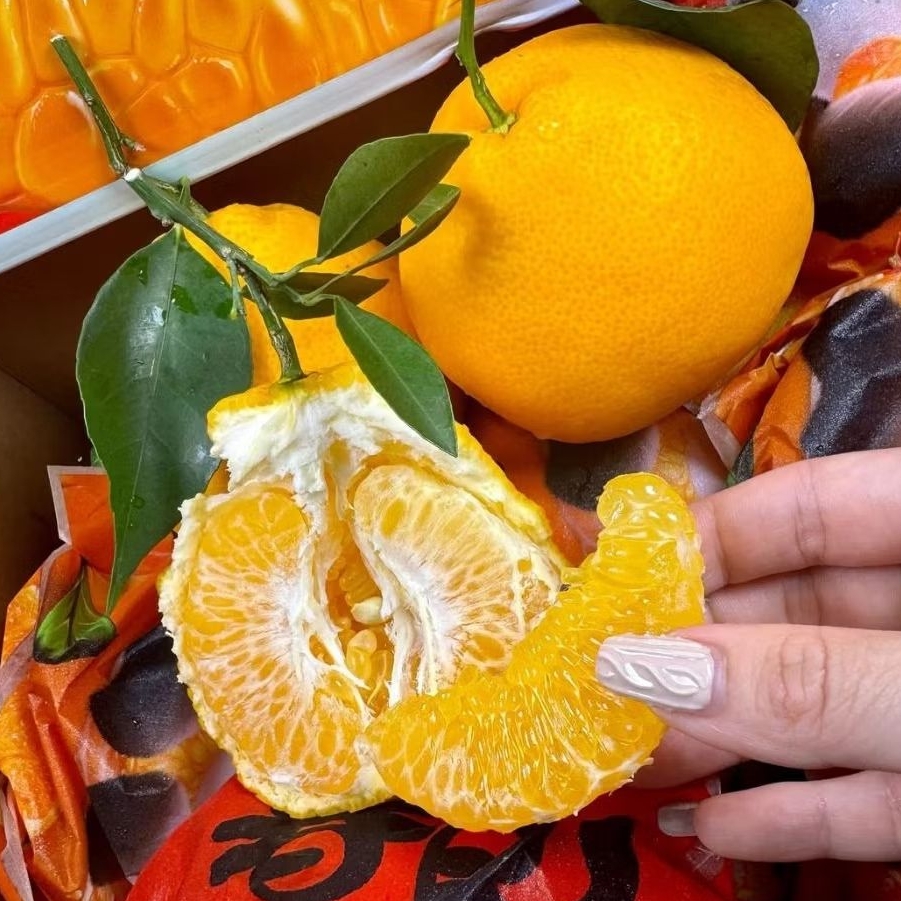 

JERUK DEKOPON/PAPAGAN XL 1kg