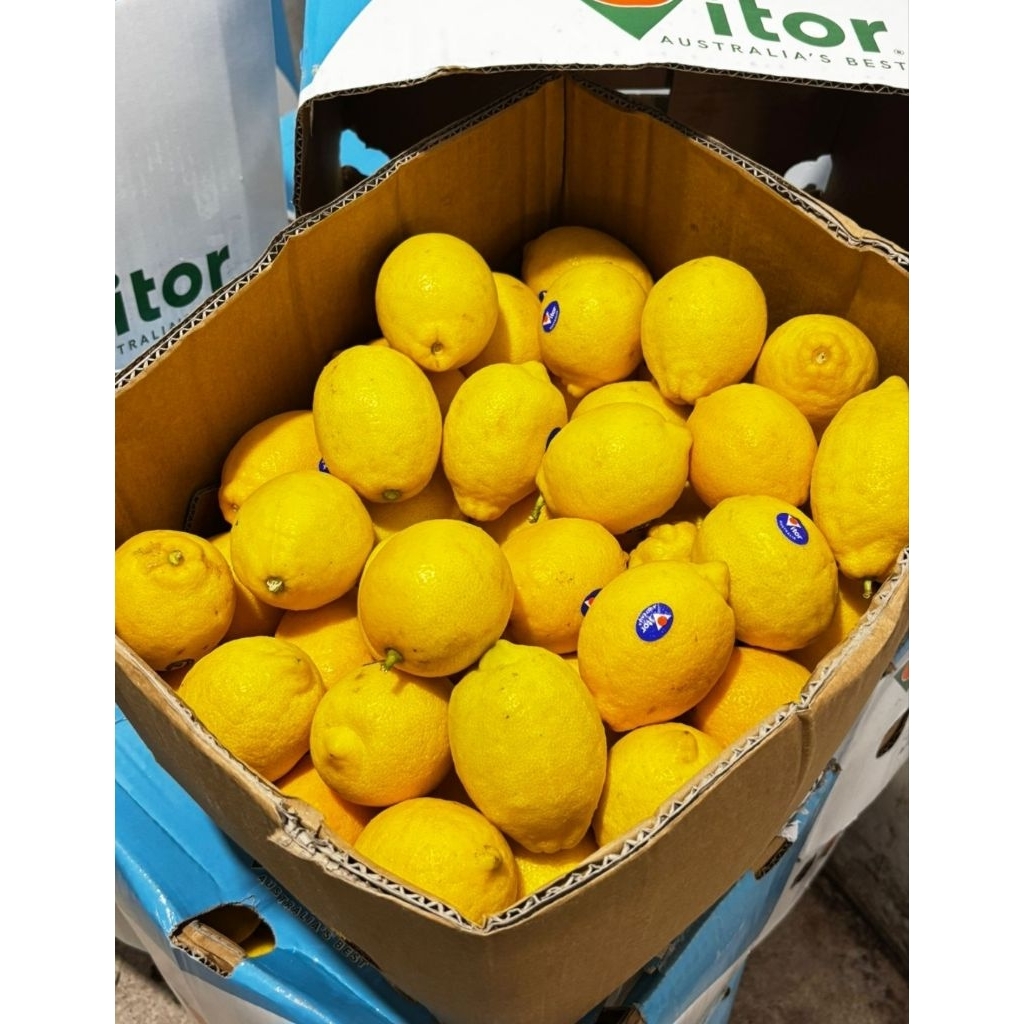 

Lemon Australia 1 kardus 15 kg