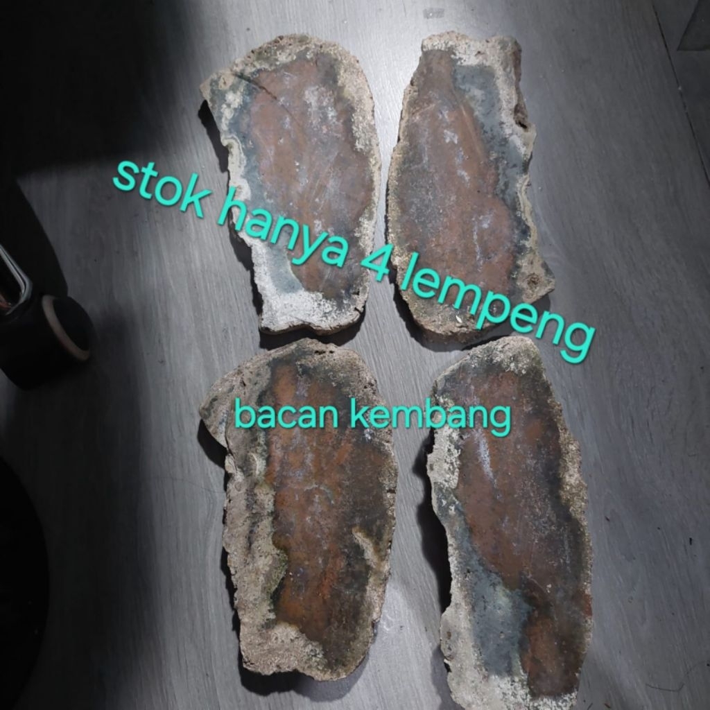 Bahan batu bacan siap poles