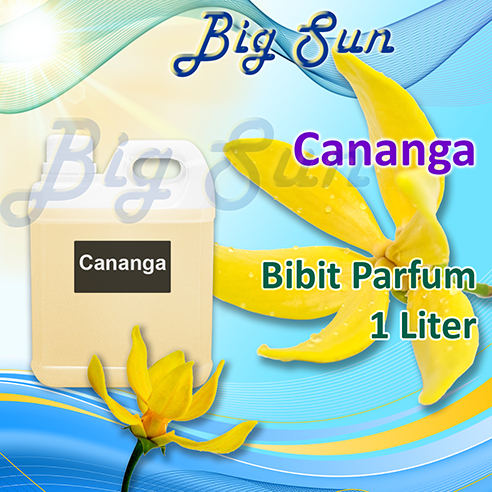 Bibit Parfum Wangi Cananga  -  Biang Parfum Bunga Kenanga - Ylang Ylang
