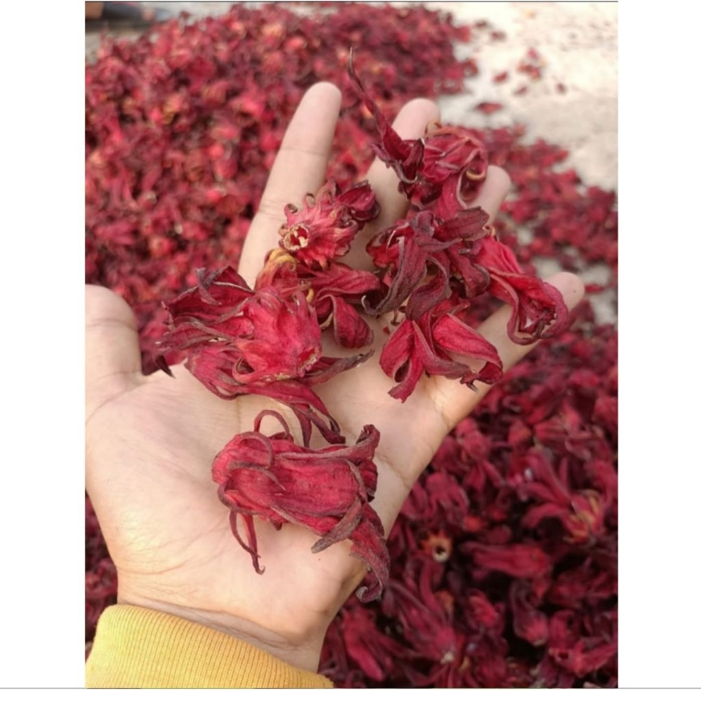 

250 Gram Teh Bunga Rosella Merah Kering Kualitas Premium