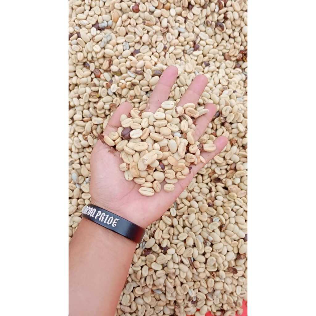 

KOLE - GB ARABIKA FULLWASH MANGLAYANG