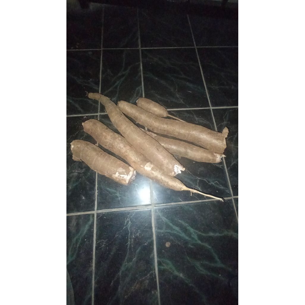 

Ubi jalar/Ketela putih