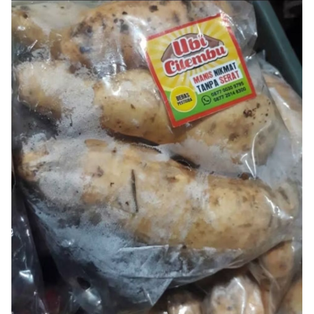 

ubi cilembu putih kemasan isi 1.kg