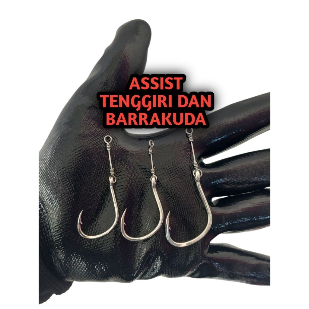 Assist Hook Tenggiri