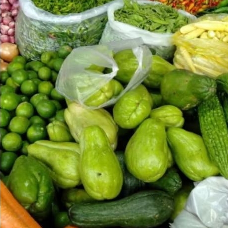 

Hasil bumi tanam petik sendiri desistore