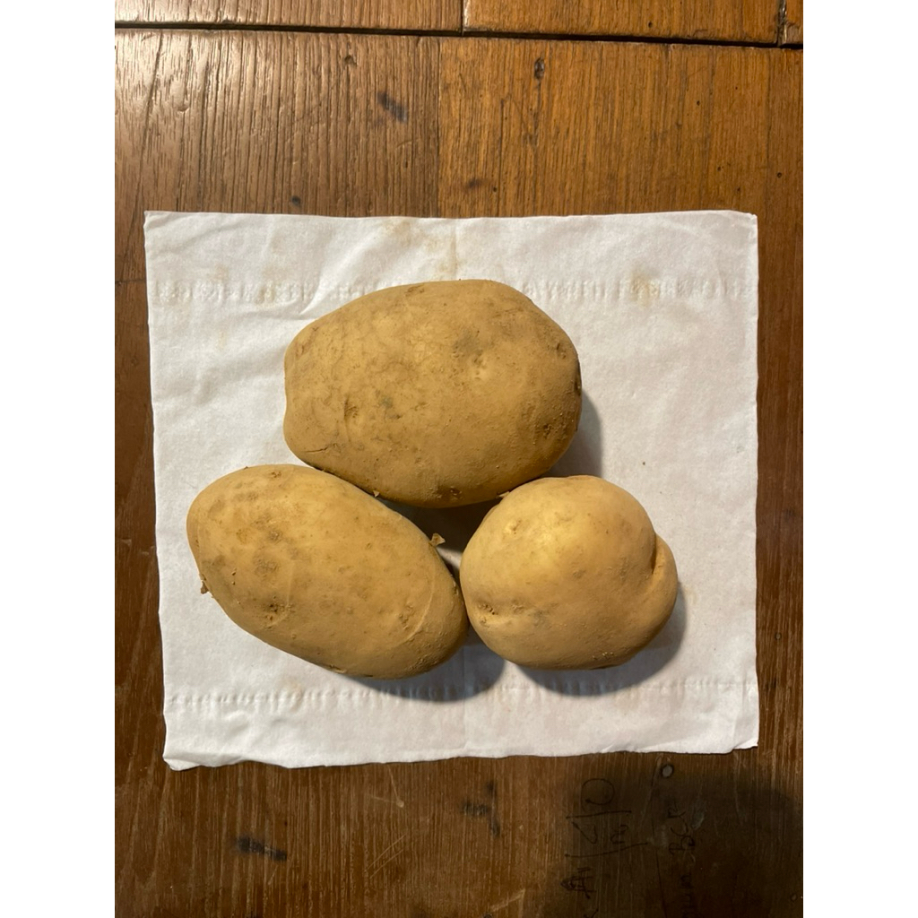 

Kentang Dieng jenis Geranola!!!