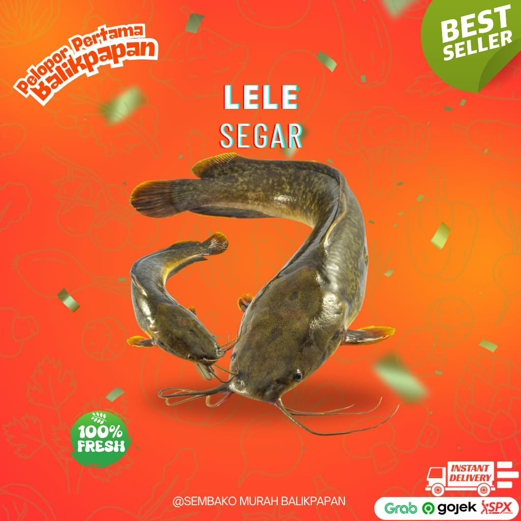 

ikan lele segar 1kg (request dibersihkan/dipotong)