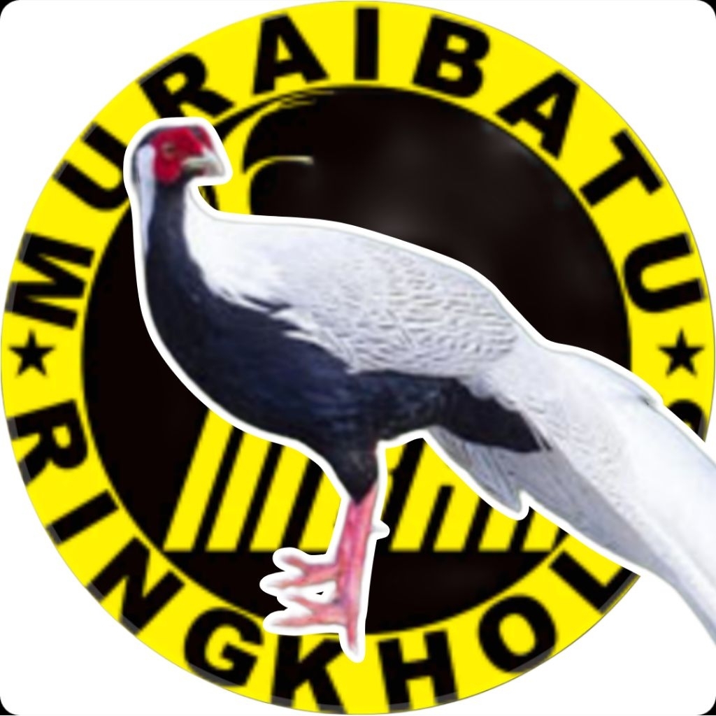 

telur ayam fertil Siver Pheasant 2 butir jaminan netas