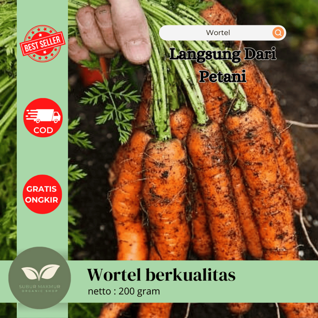 

wortel lokal / Pasar lokal / siap masak 200g / untuk jus juga bisa