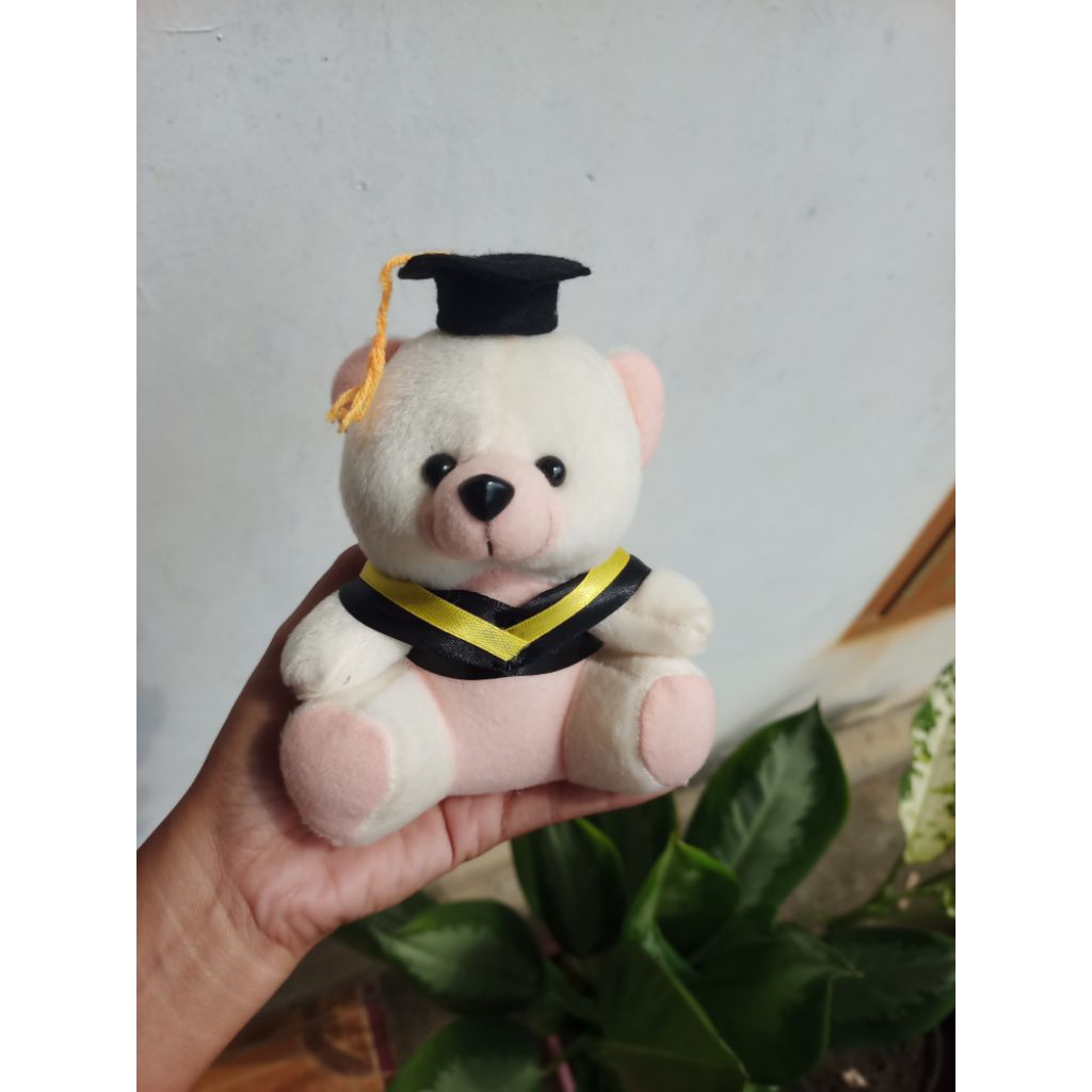 Boneka wisuda, boneka buket wisuda, boneka mini
