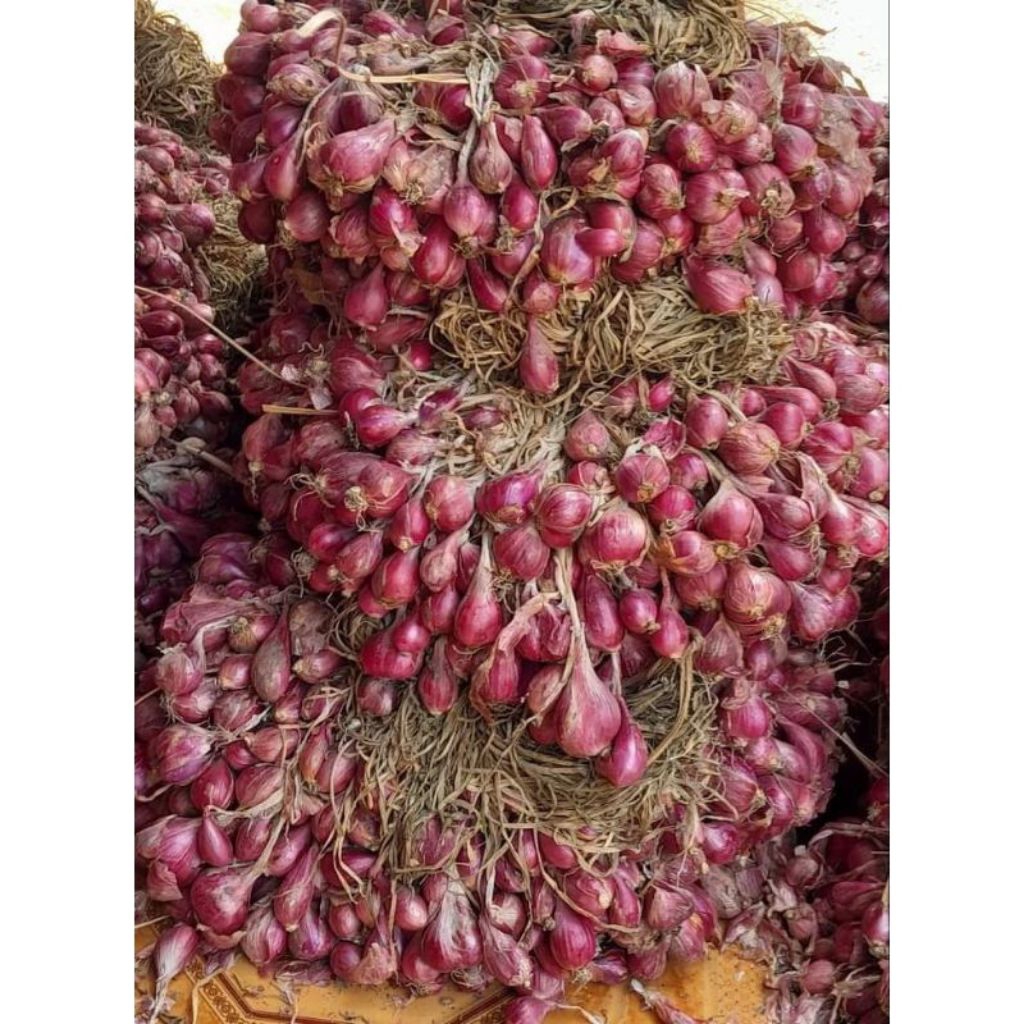 

bahan bumbu masak bawang merah kering berkualitas super jumbo langsung dari petani lokal 1kg