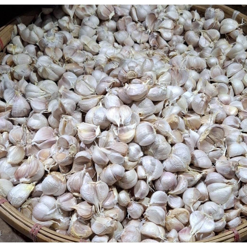 

Bawnag putih 250gram 500 gram 1kg