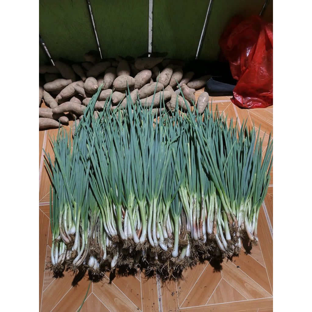 

Daun Bawang Super 1kg