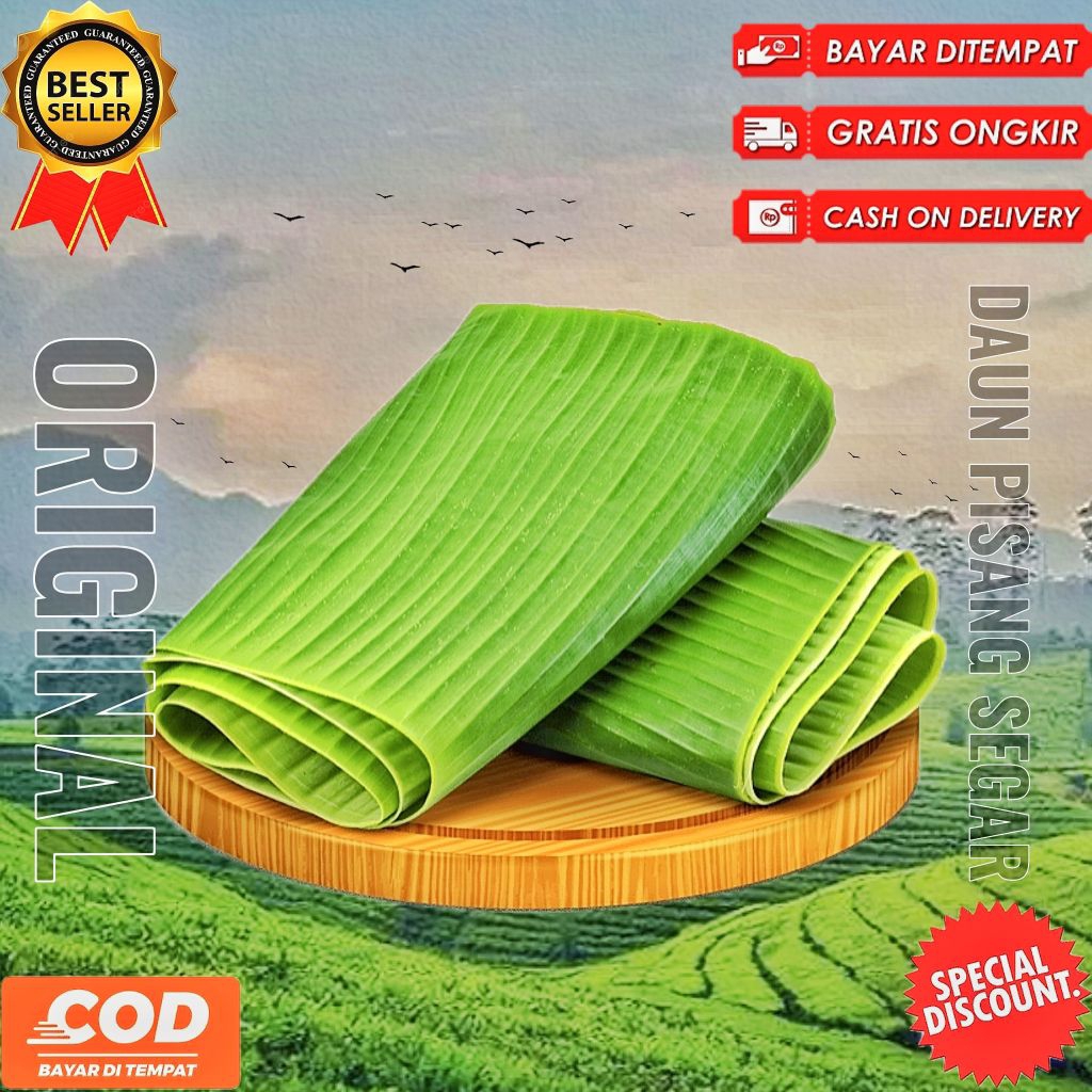 

Daun pisang segar 1kg dipetik dadakan bersih higienis siap pakai