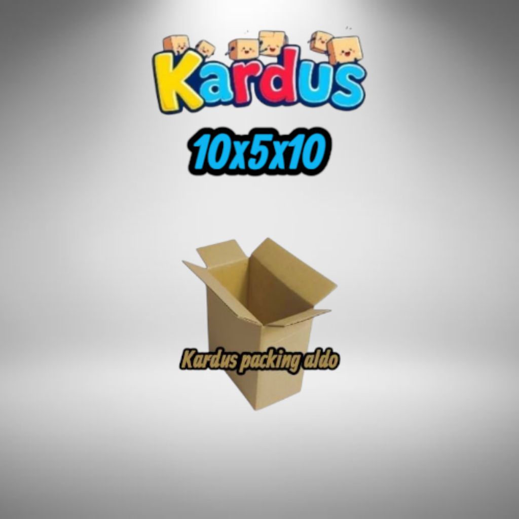 

kardus box packing 10×5×10