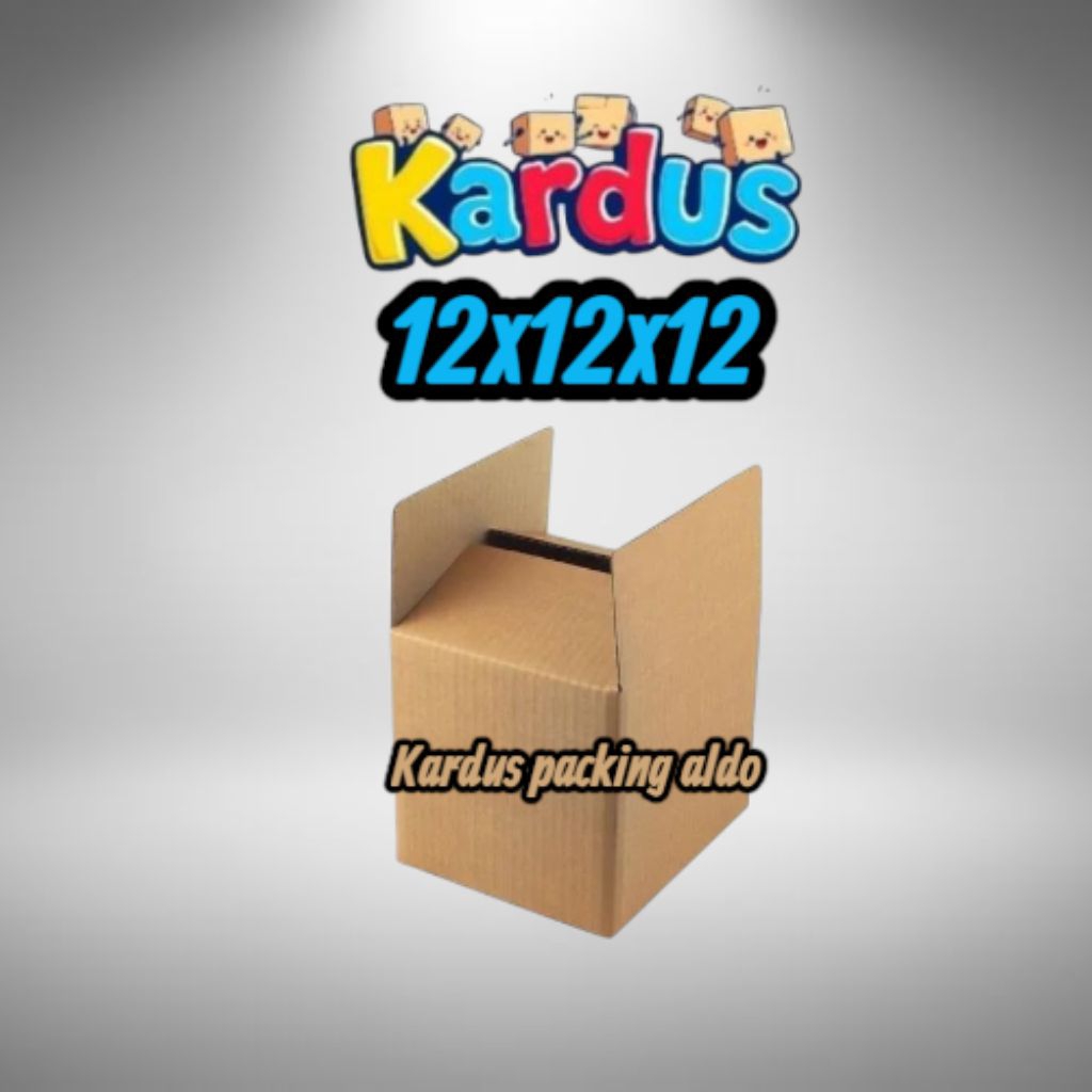 

kardus box packing 12×12×12