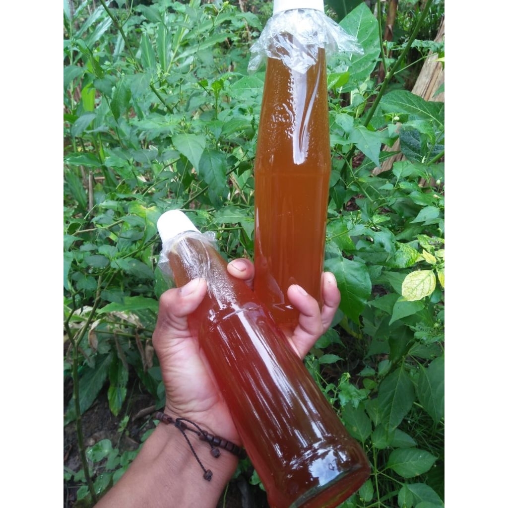 

MADU HUTAN 100% ASLI