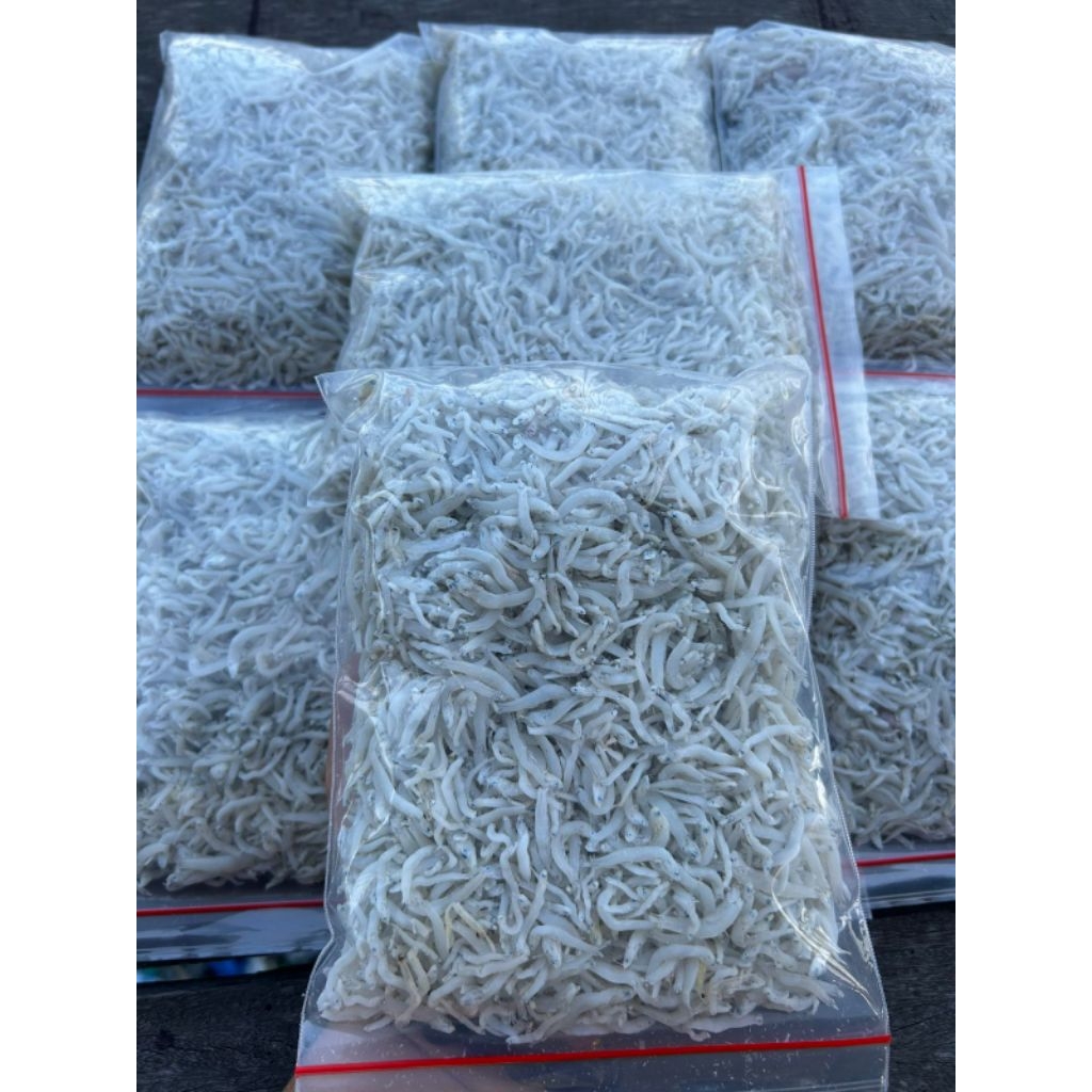 

Teri nasi belawan super