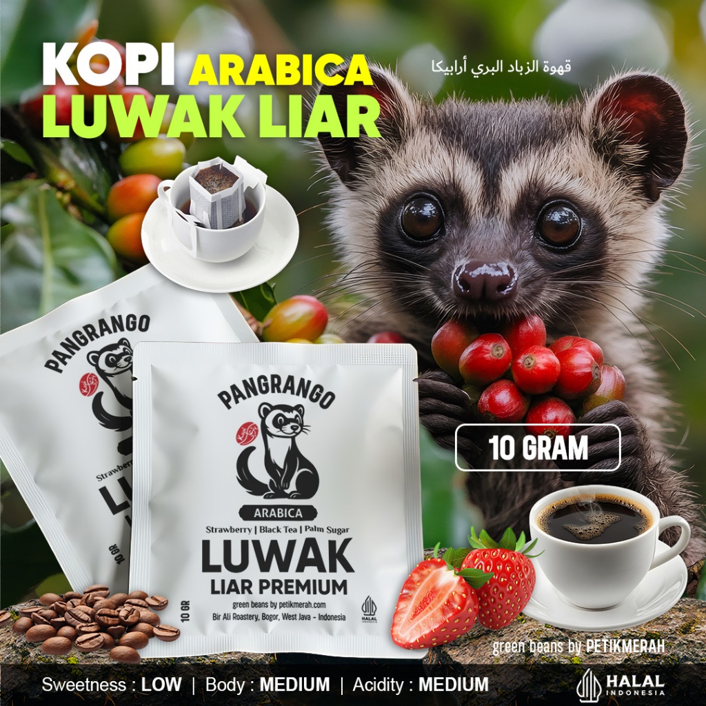 

KOPI LUWAK LIAR ASLI Arabika Pangrango Petik Merah Filter Beans Arabica Coffee Roastery Drip Bag