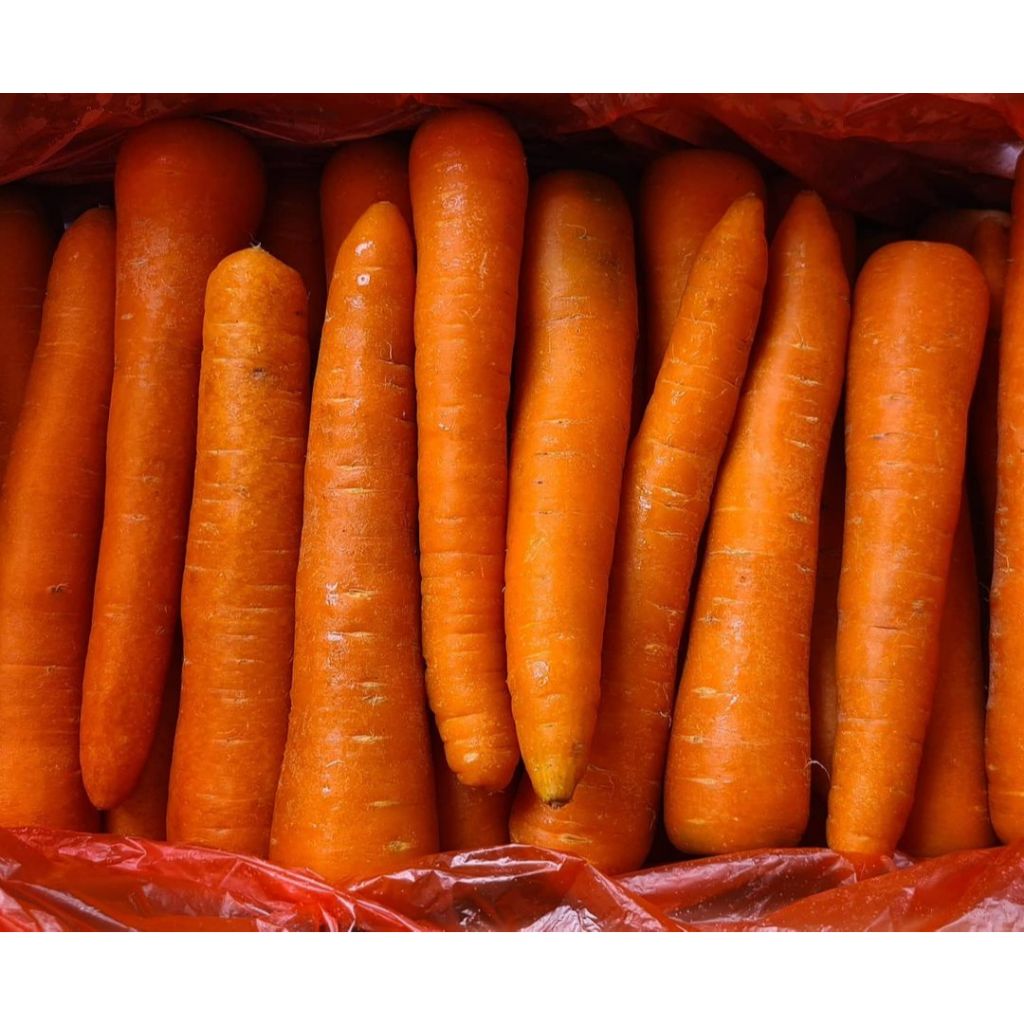 

Wortel Brastagi Carrot Grade Super Kualitas Terbaik 1kg Fresh